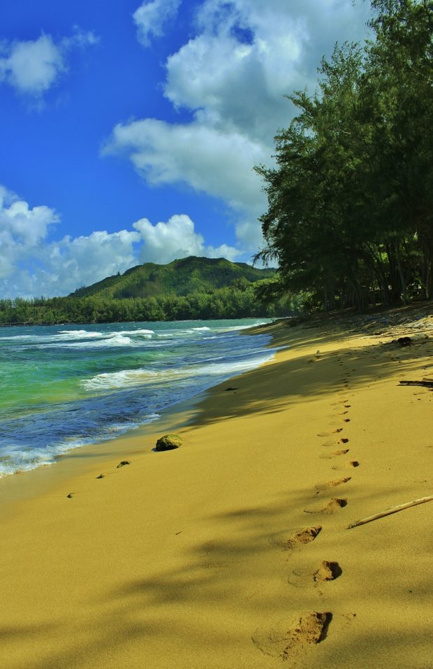 Kauai Is a Paradise on Earth — Here’s What to Do When You’re There!