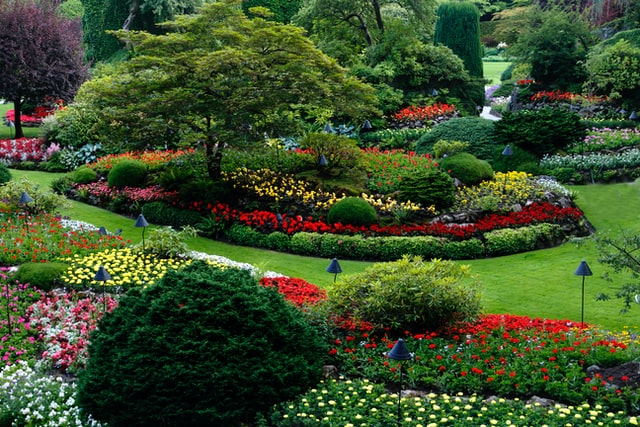 Commercial Landscaping Company, Best Plants For Commercial Landscapes