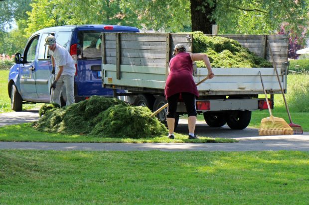 5 Qualities To Look For In A Commercial Landscaping Company