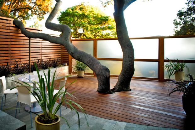 6 Creative Solutions for Having a Perfectly Decorated Backyard 6 Creative Solutions for Having a Perfectly Decorated Backyard