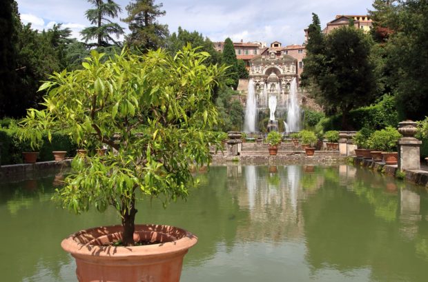 5 of the Most Beautiful Gardens in the World