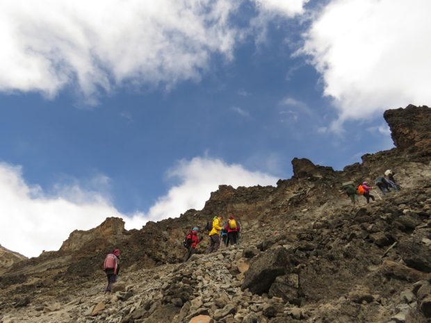 The Beginner’s Guide to Kilimanjaro