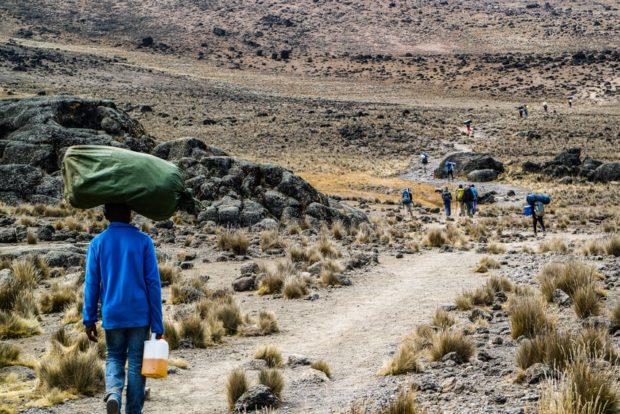 The Beginner’s Guide to Kilimanjaro
