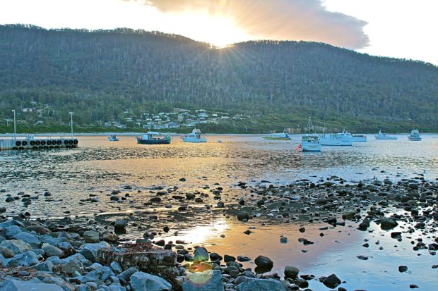 Tasmania 2021 Travel Guide: 4 Tips For A Memorable Visit