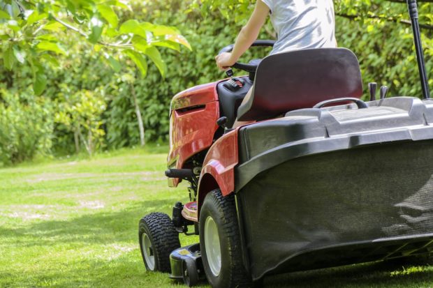 Tools and equipment you will need when taking care of your backyard this season