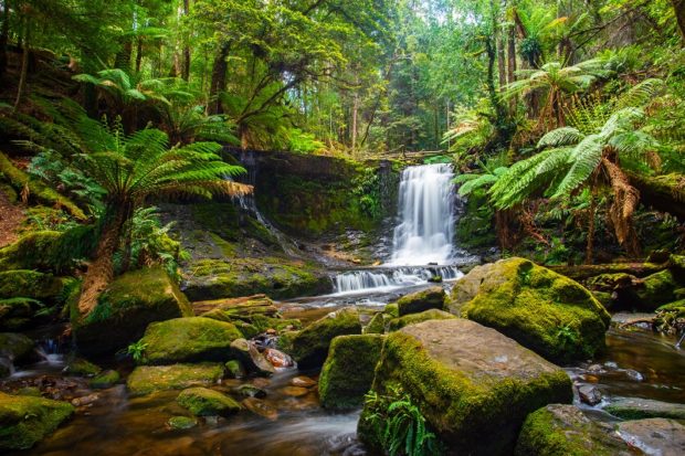 Tasmania 2021 Travel Guide: 4 Tips For A Memorable Visit