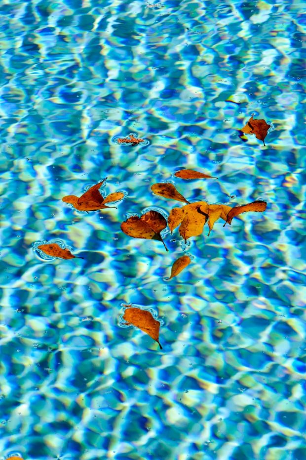 6 Ways To Improve Your Swimming Pool Experience