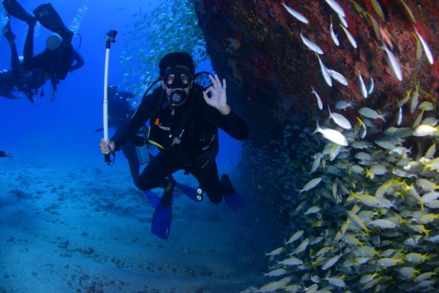 dive-1849534_1280-620x414 4 Good Reasons Why Scuba Diving Should Be In Your Bucket List