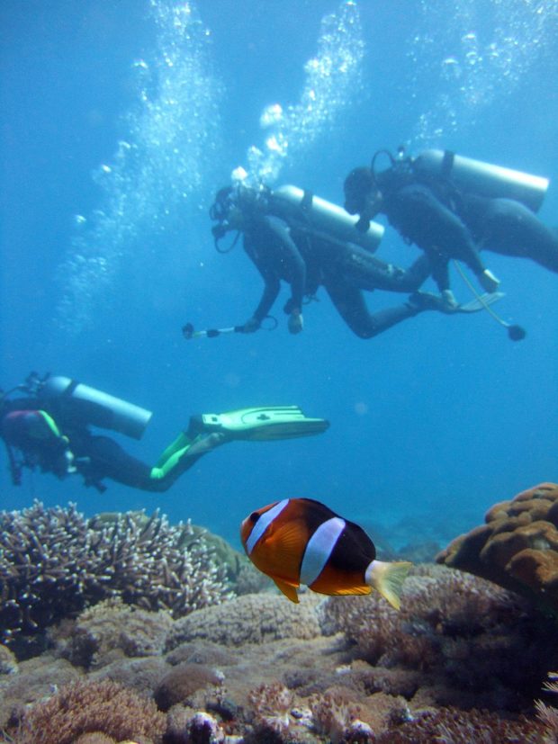 diver-2200821_1280-620x827 4 Good Reasons Why Scuba Diving Should Be In Your Bucket List