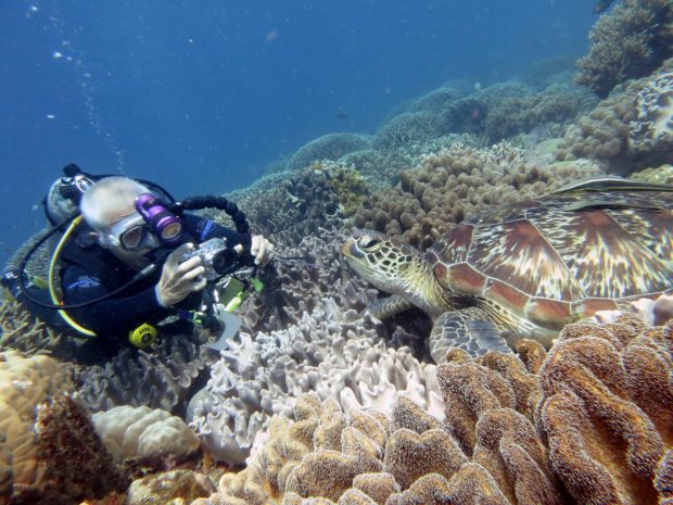underwater-1175410_1280-620x465 4 Good Reasons Why Scuba Diving Should Be In Your Bucket List