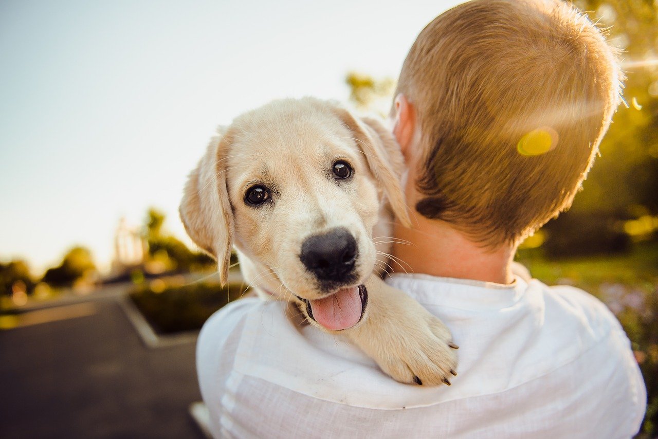 Puppy Parenting 101: 7 Common Mistakes Pet Parents Make