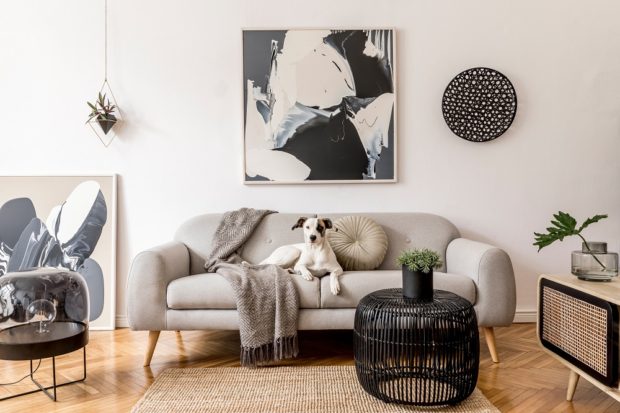 11 Ways To Spruce Up Your Living Space On A Budget