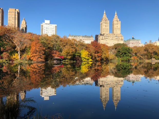 Notable Attractions to See in New York if You Plan to Move There
