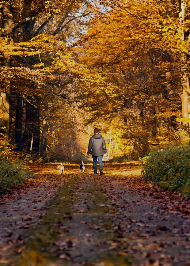 Fun Outdoor Activities to Do with Your Dog this Fall