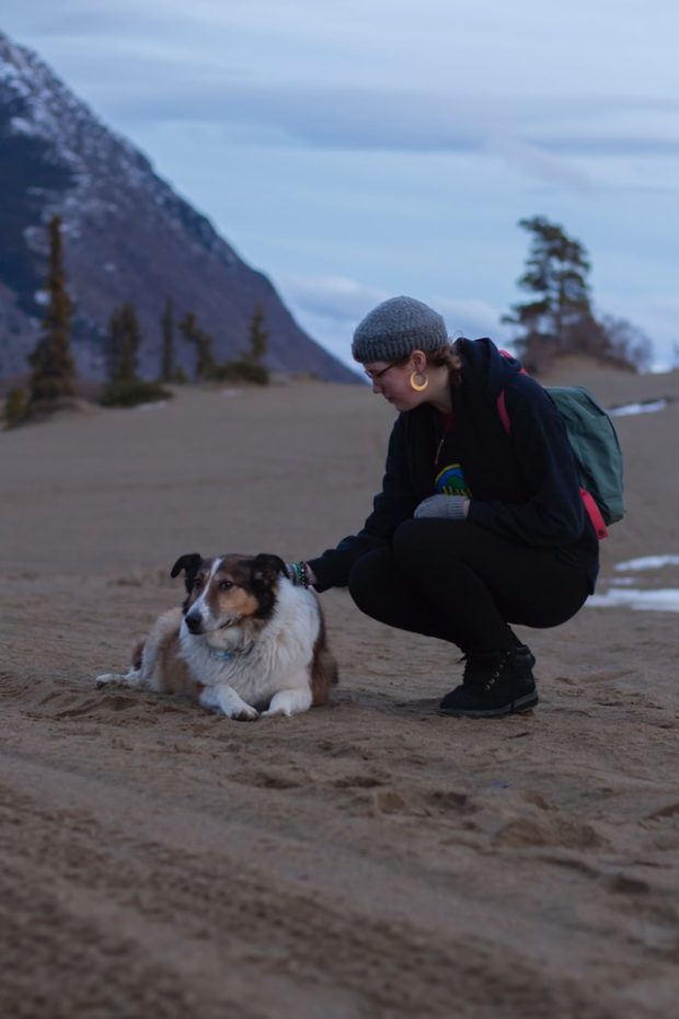 Tips for Backpacking with a Dog