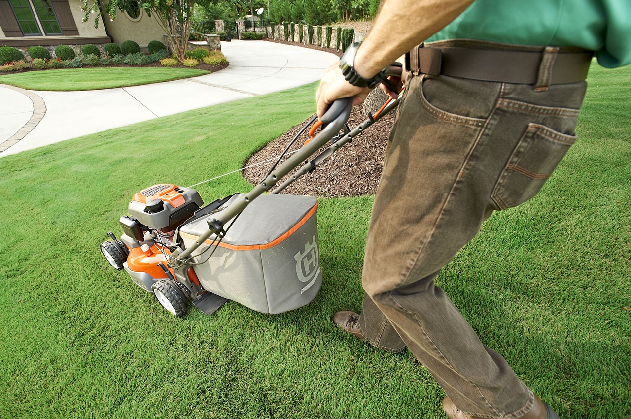 Useful Tools That Will Help You Maintain Your Backyard And Garden