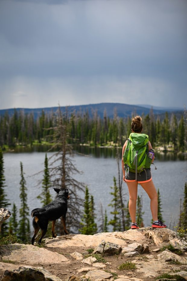 Tips for Backpacking with a Dog