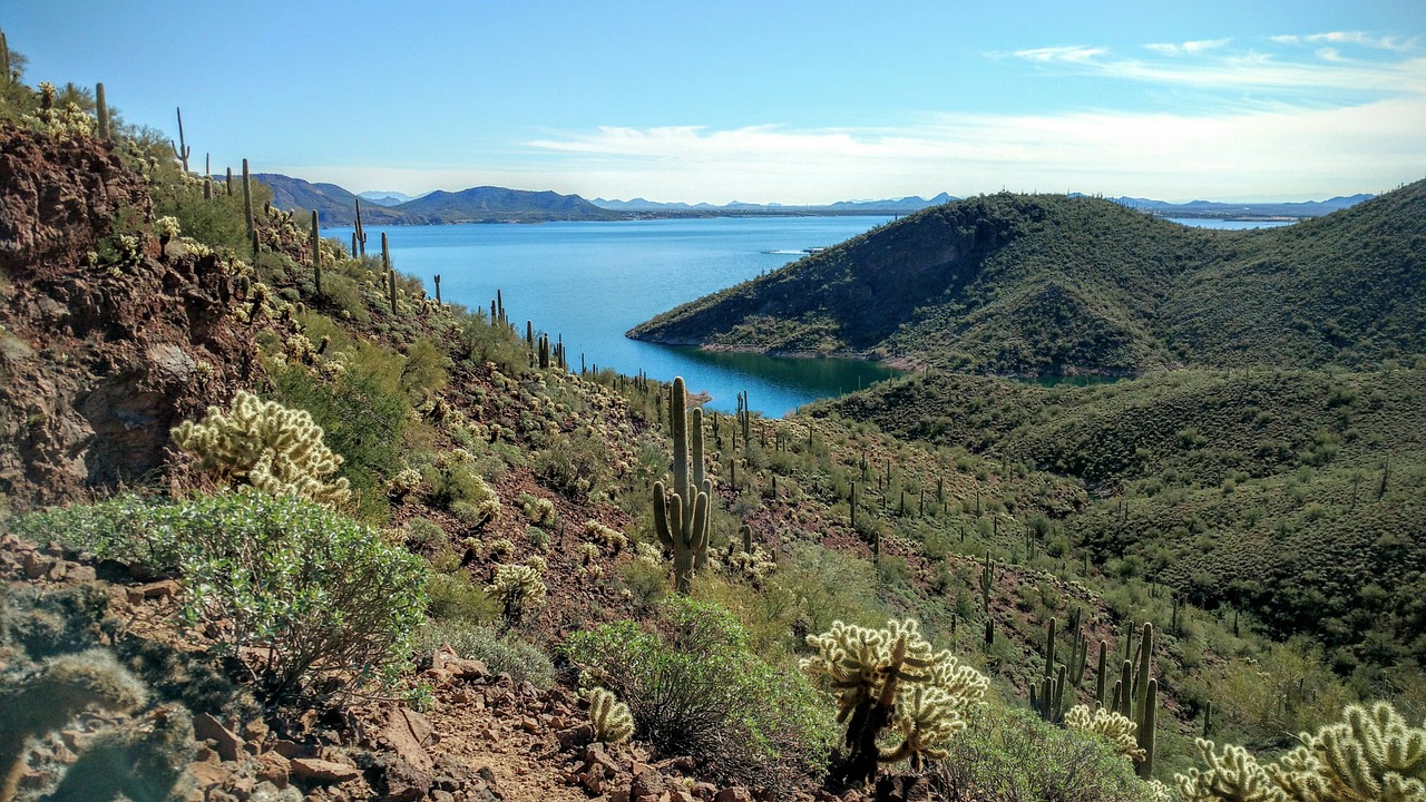 Things to Do While in Lake Pleasant