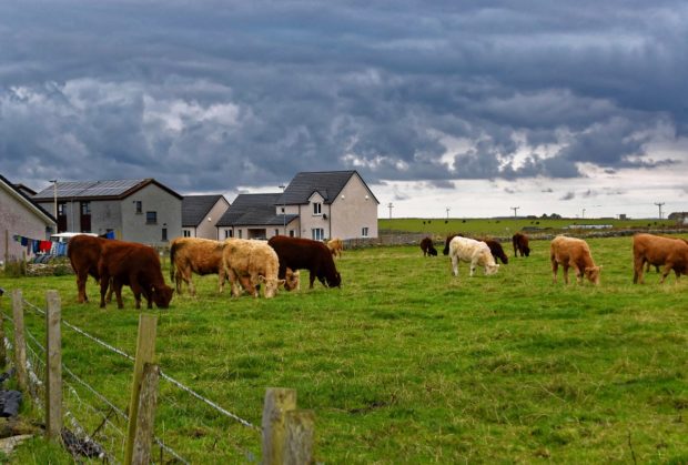 How To Go About Buying New Land For Your Livestock