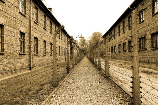 3 Best Ways to visit Auschwitz Museum