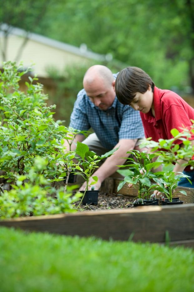 Essential Practices for Building the Perfect Eco-Friendly Garden