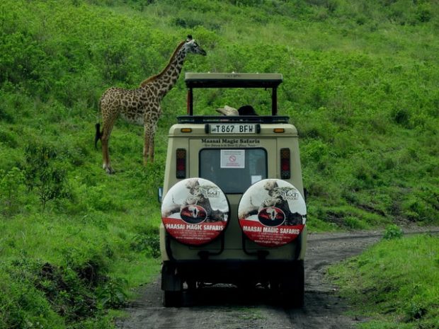 Why Is Tanzania One of the Best Safari Destinations in Africa?