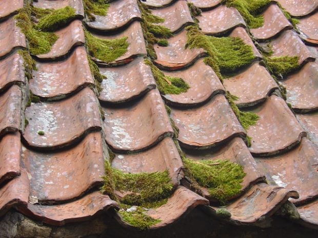 What Could Cause Your Roof to Need Emergency Repair?
