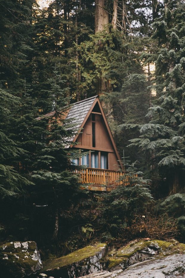 Building a Cabin? 4 Services to Help Complete the Project