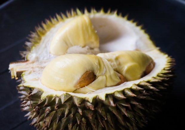 XO Durian Price