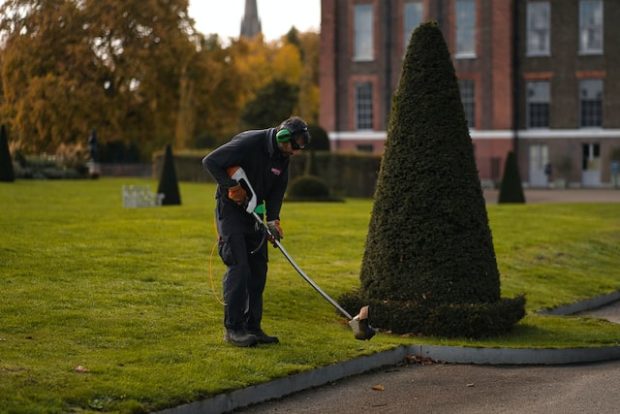 weed-trimmer-620x414 How To Decorate Your Yard - 6 Machines To Help You Out