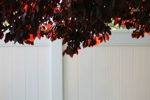 The Most Popular Fencing Options Homeowners Go For in 2022