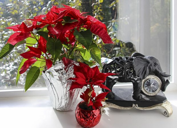 Decorating with Flowers for the Holidays: Tips for Choosing the Perfect Bouquet