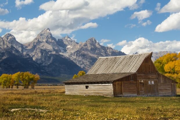 Jackson Hole Vacation Rentals: Why They're Better Than Hotels
