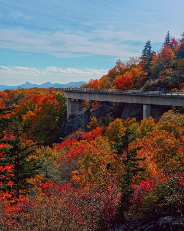 Exploring the Kaleidoscope of Colors: Top 5 Places to Visit This Fall in the USA