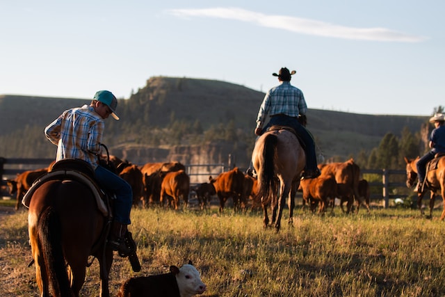 A Guide to Finding the Perfect Piece of Property for Your Ranch