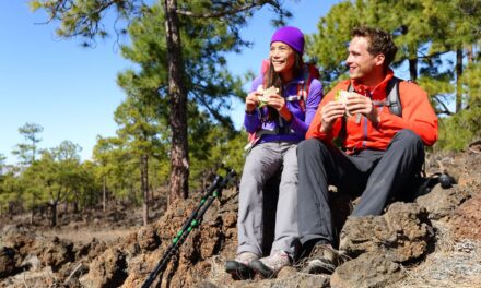 Healthy and Energy-Boosting Snacks for Sustained Stamina On the Trails