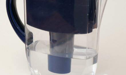 Get the Purest H2O: 5 Easy Ways to Filter Your Water