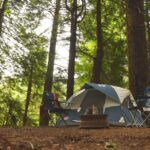 Camping Cleanliness: Leave No Trace Principles for Outdoor Adventures