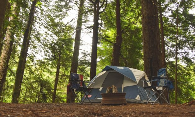 Camping Cleanliness: Leave No Trace Principles for Outdoor Adventures
