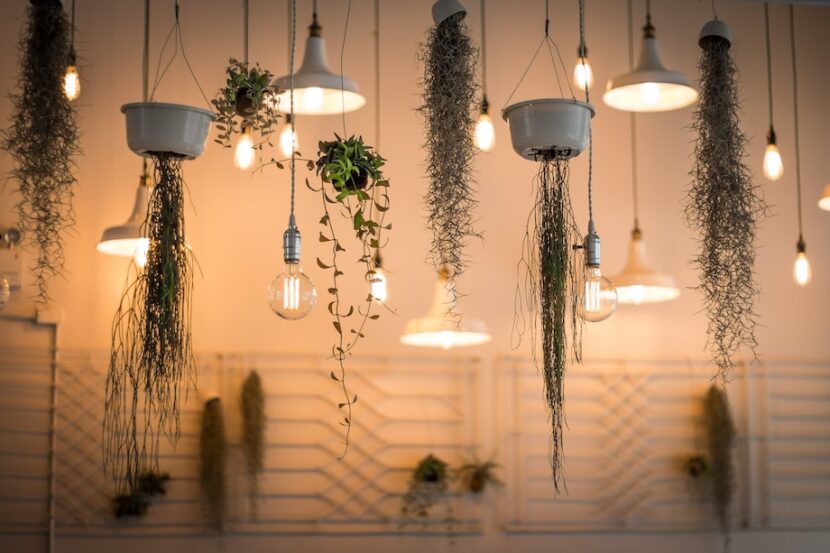 hanging-plants-830x553 6 Luxurious DIY Projects to Transform Your Old House