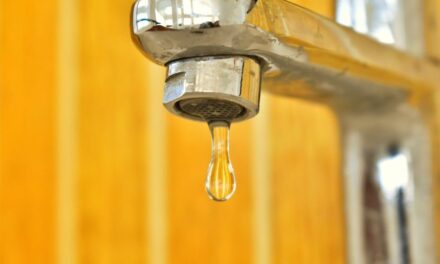 Crystal Clear: Discovering the Benefits of Water Softeners for a Luxurious Home Experience
