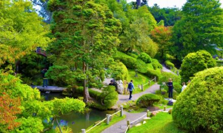 Exciting Things to Do in California That Aren’t Disneyland