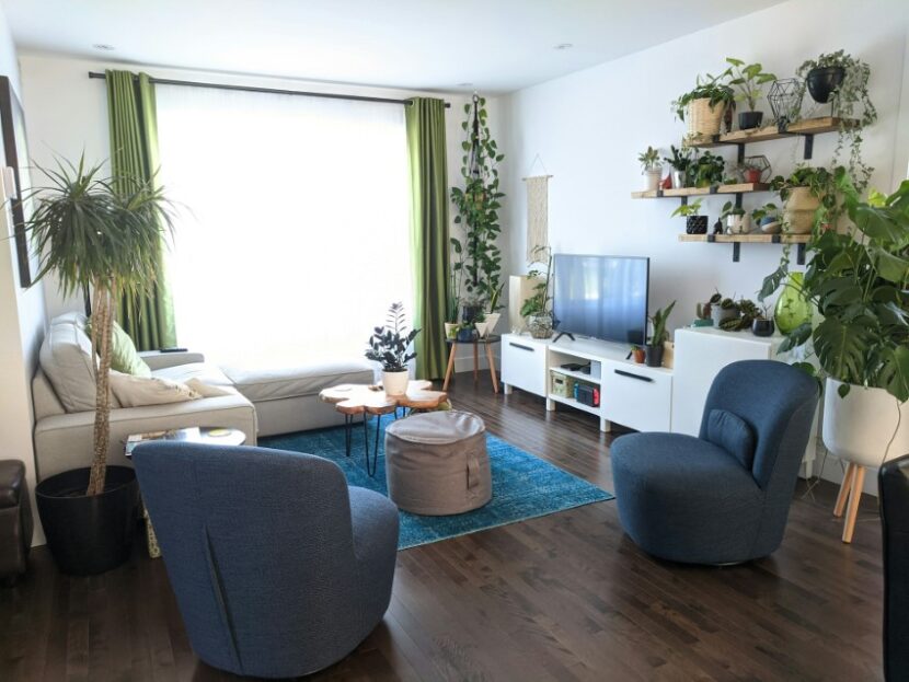 houseplants-living-room-830x623 Everyday Luxury: How to Elevate Your Home for Comfort