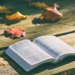 New International Version Bible: Why It’s the Most Popular Version
