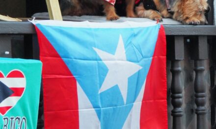 Top 6 Things to Do When Visiting Puerto Rico