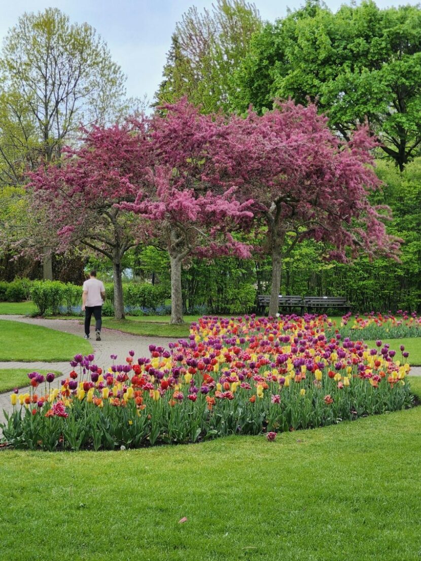 Park-in-Toronto-830x1107 A Nature Lover’s Guide to Visiting Toronto