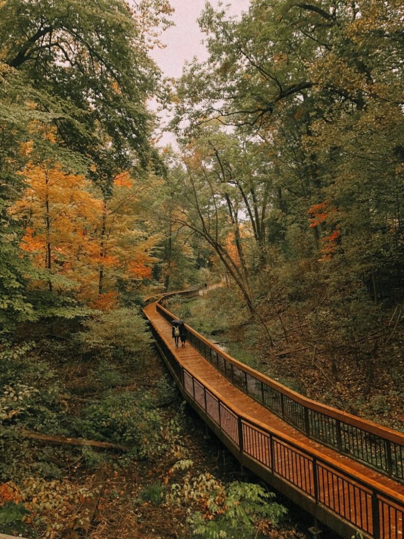 toronto-hike-830x1107 A Nature Lover’s Guide to Visiting Toronto