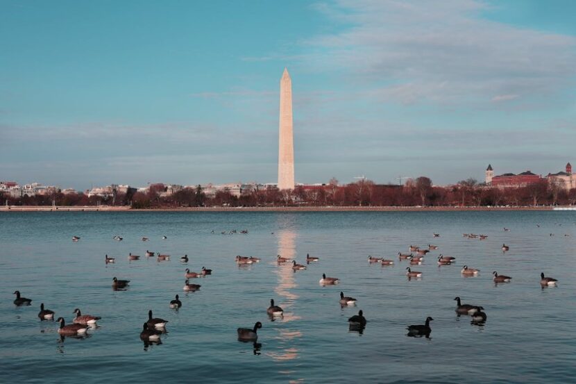 washington-monument-830x553 The Weekend Shift: Discovering DC Beyond the 9-to-5 Hustle